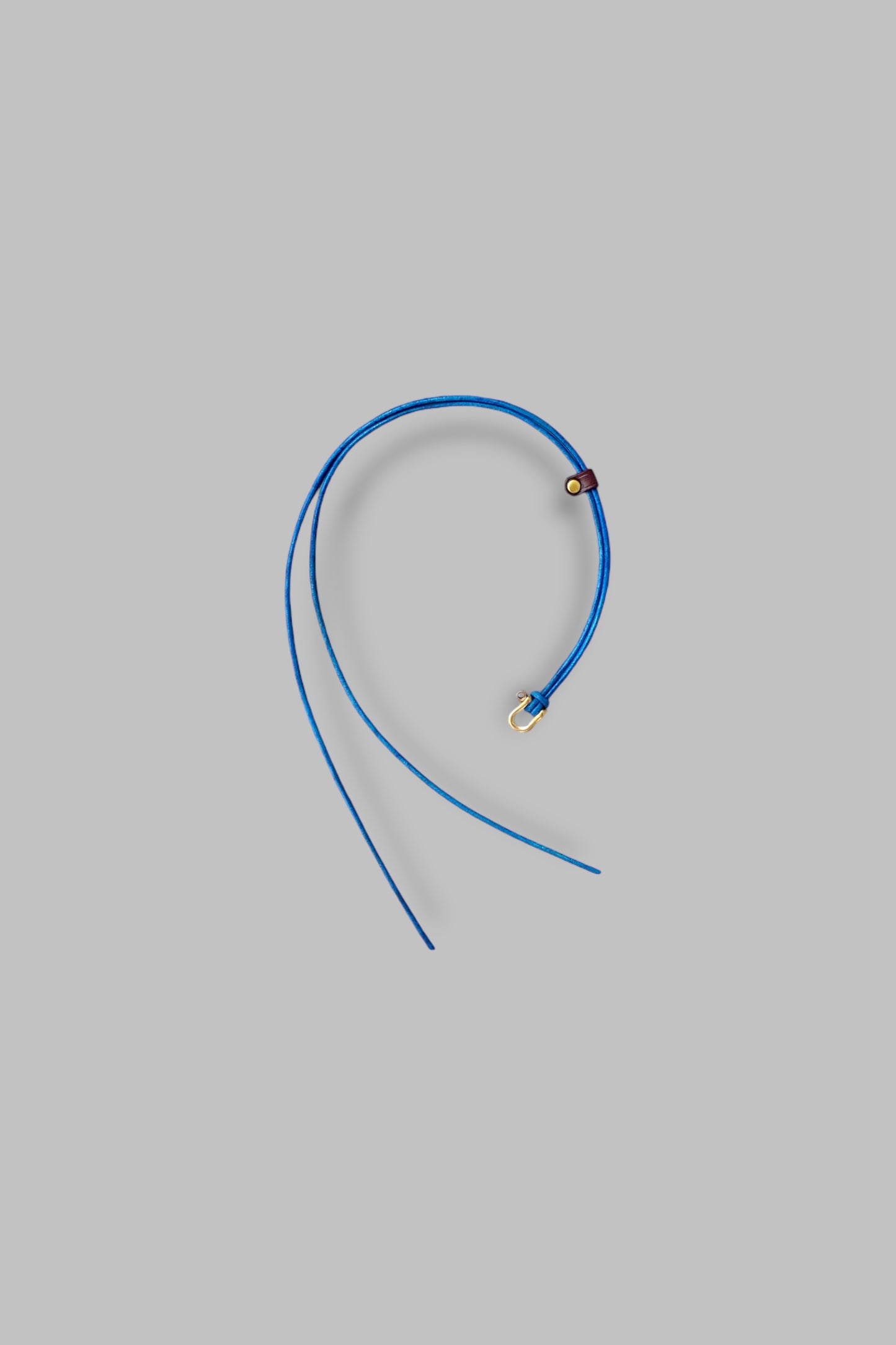 Loose Leash (blue)