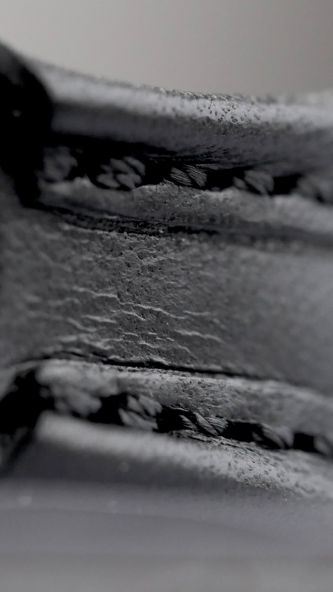 Aylmeri anklets | black