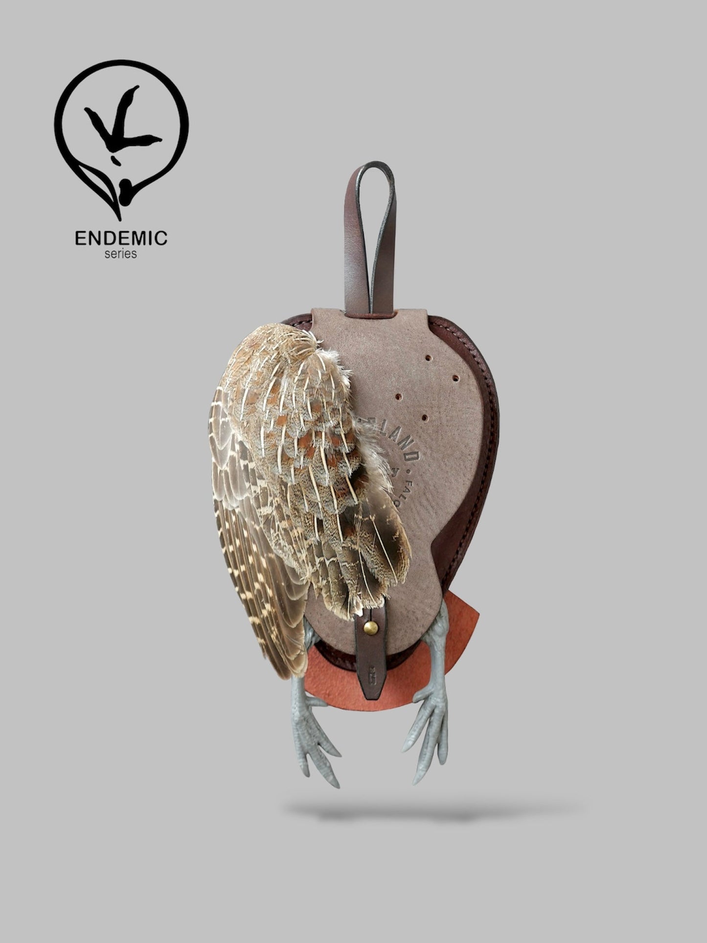 Decorative bird mount with feathers on a gray background, featuring the 'Endemic' brand logo.