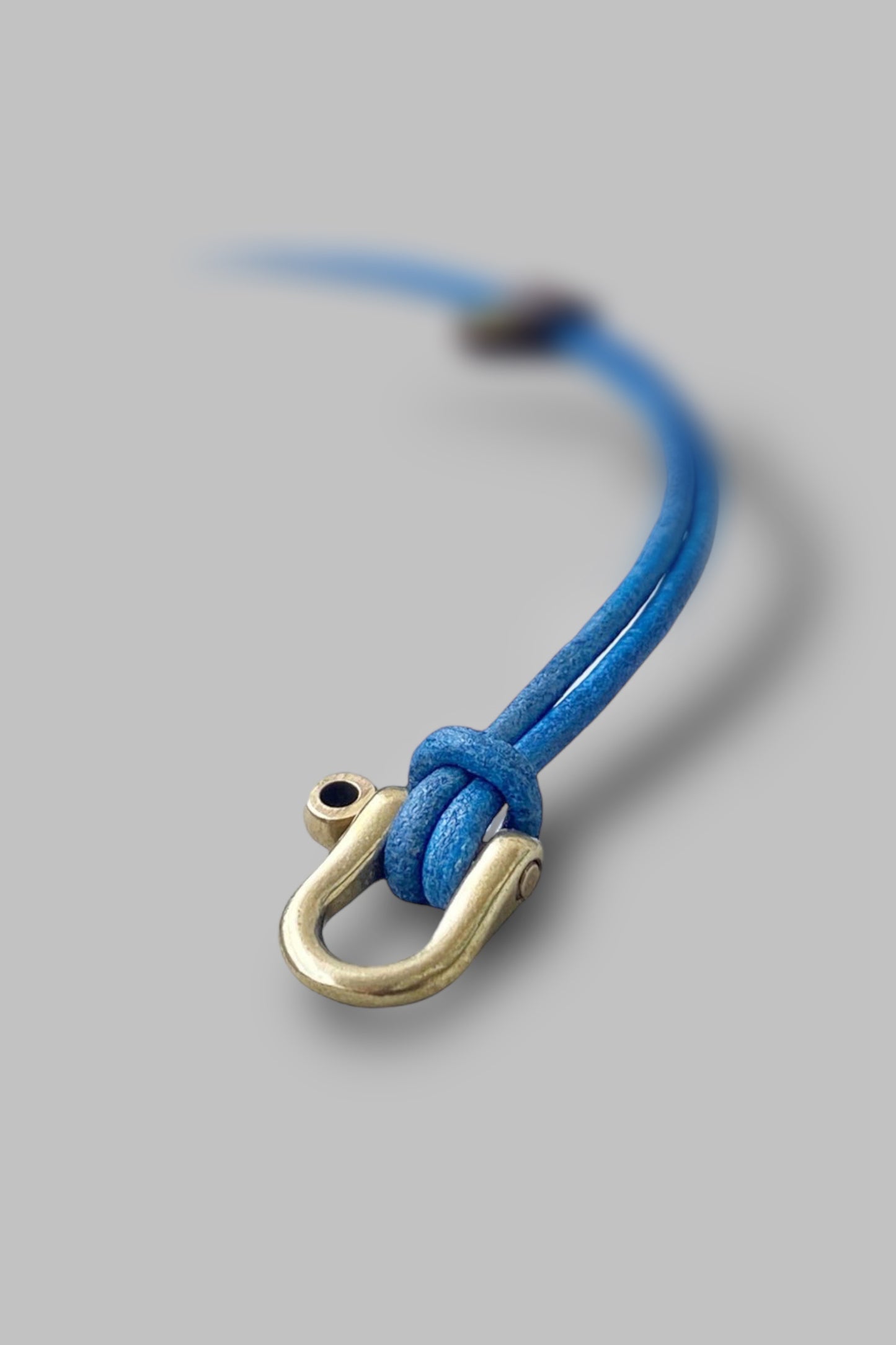 Loose Leash (blue)